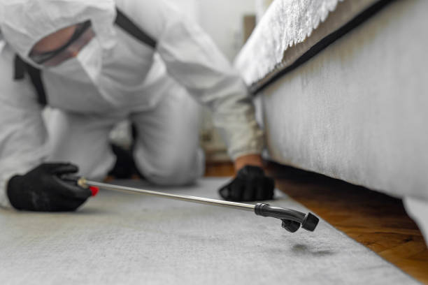 Professional Bed Bug Control technician working in Kershaw County County, SC